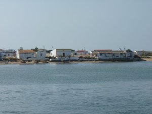 Ilha da Culatra: Foto
