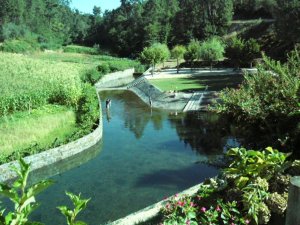 Plage Fluviale d´Ana de Avis: Photo