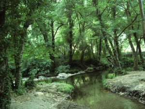Fragas de São Simão: Photo