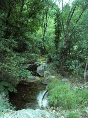Fragas de São Simão: Photo