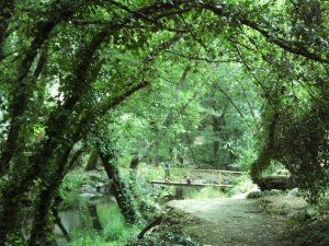 Fragas de São Simão: Photo