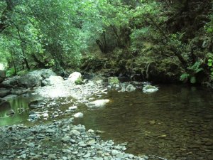 Fragas de São Simão: Photo