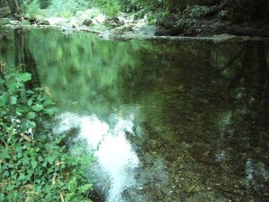 Fragas de São Simão: Photo