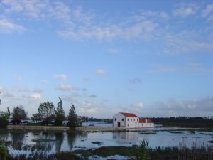 Corroios: Moinho de maré: Foto