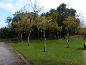 Parc de Serafina: Photo