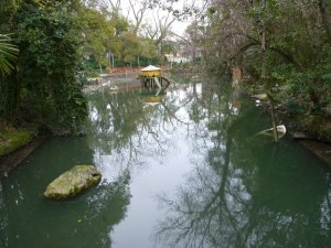 Parque del Infante Don Pedro: Foto