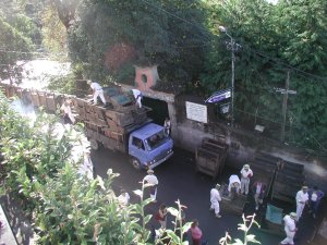 Monte: Descarga de los carros de cesto: Foto