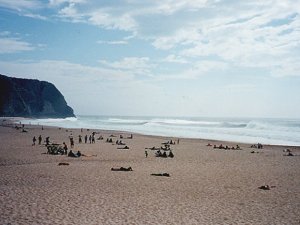 Playa Grande: Foto