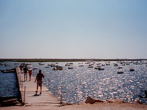 Ria Formosa: Foto