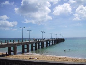 Muelle: Foto
