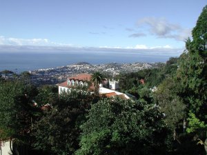 Monte: Vista de Funchal: Foto