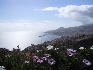 São Gonçalo: Vista de Funchal: Foto