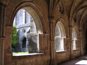 Cathédrale: Cloître: Photo