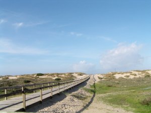 Playa de São Jacinto: Foto