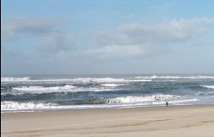 Playa de São Jacinto: Foto
