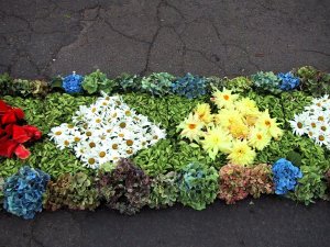 Camacha: Tapete de flores: Foto