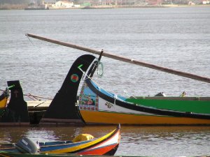 Barcos moliceiros: Foto
