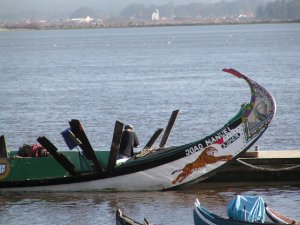 Barcos moliceiros: Foto