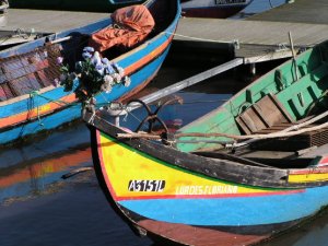 Barcos moliceiros: Foto