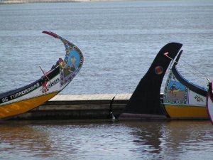 Barcos moliceiros: Foto