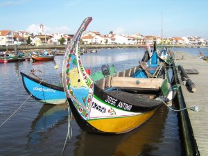 Barcos moliceiros: Foto