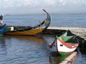 Barcos moliceiros: Foto