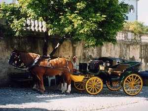 Coches de caballos: Foto