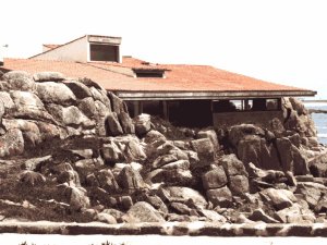 Casa de Chá da Boa Nova: Photo